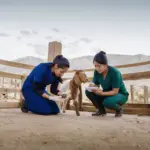 Jóvenes de la carrera de veterinaria realizando un correcto podo de uñas en animales